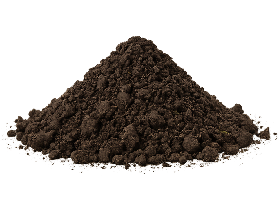 Zwarte grond